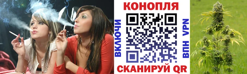 Купить закладку Псилоцибиновые грибы  APVP  Гашиш  Меф мяу мяу  Бошки Шишки  Кондопога