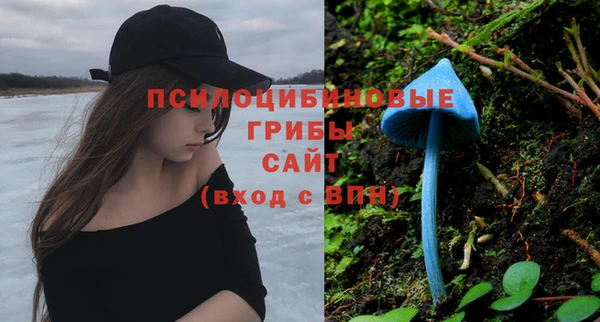 spice Каменногорск