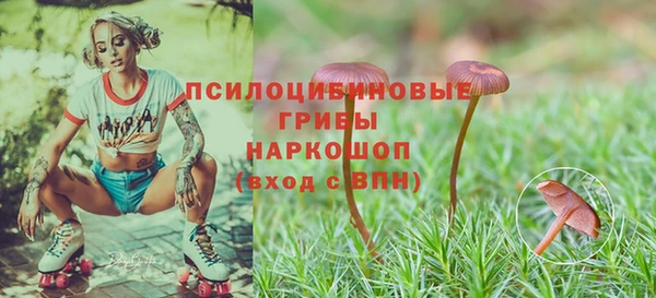 кристаллы Каменка