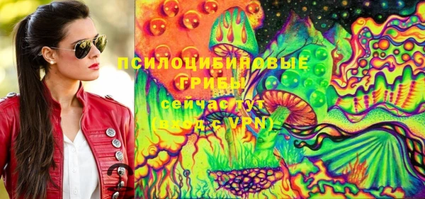 spice Каменногорск