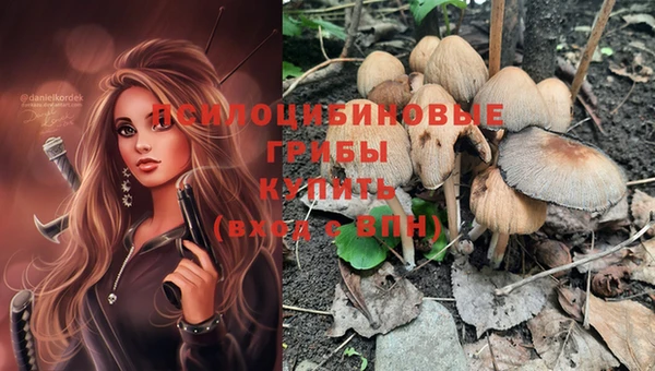 кристаллы Каменка