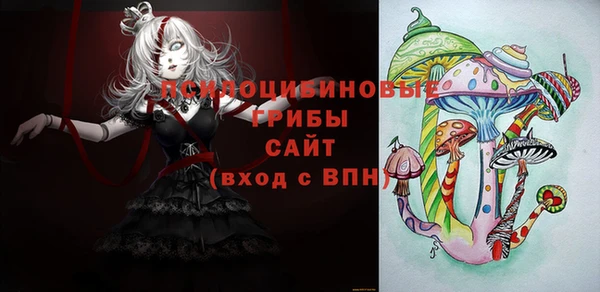 PSILOCYBIN Каменск-Шахтинский