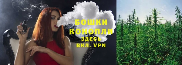 spice Каменногорск