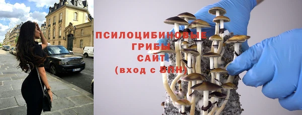 spice Каменногорск